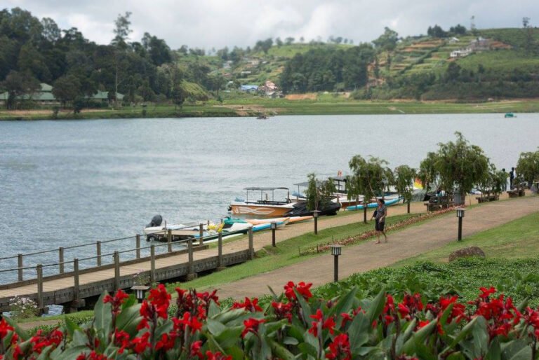 Gregory Lake