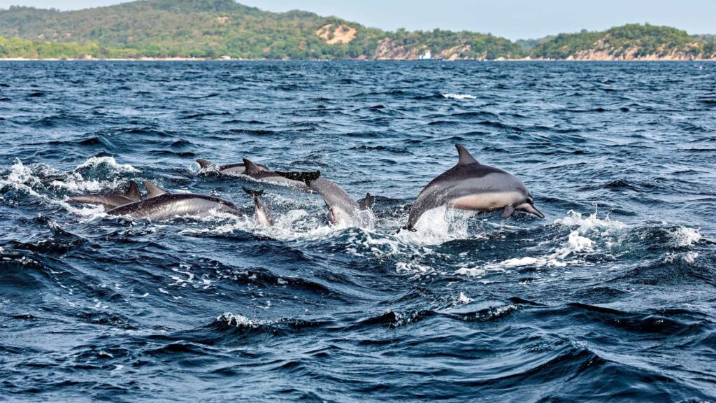 Trincomalee