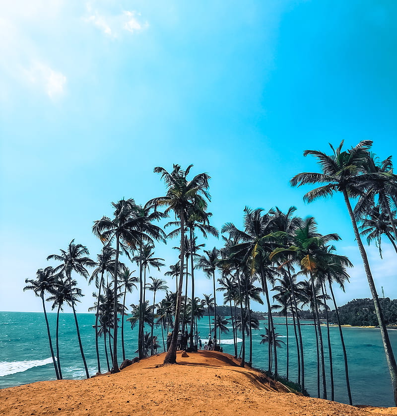 Mirissa