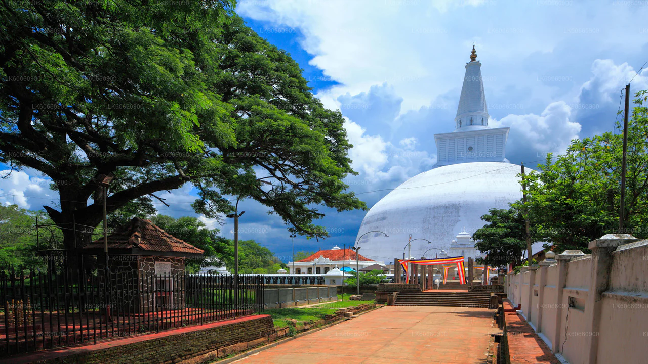 Anuradhapura