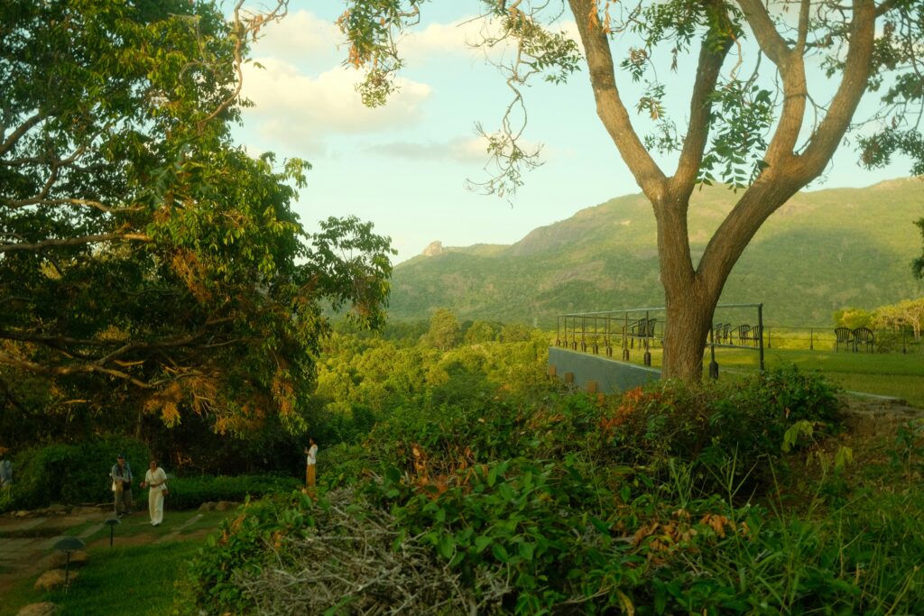 Dambulla