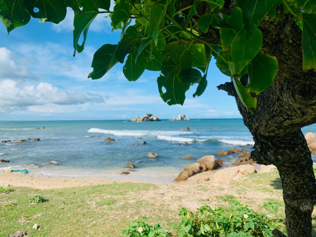 Classic Sri Lankan Tour
