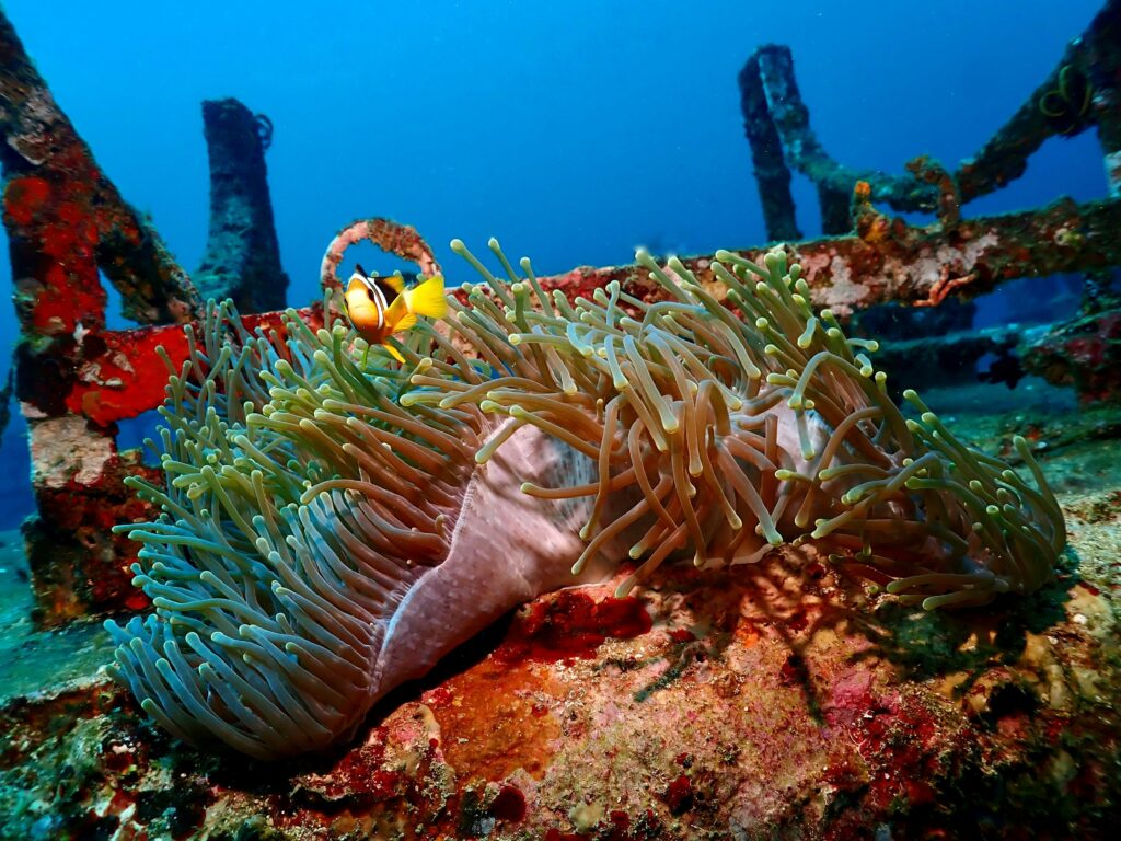 Trincomalee