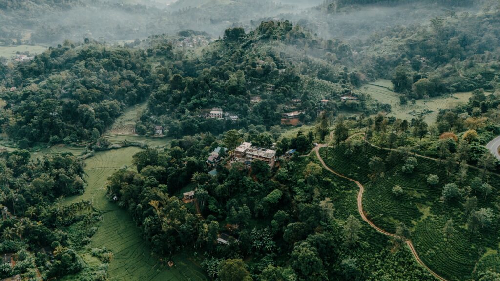 Kandy