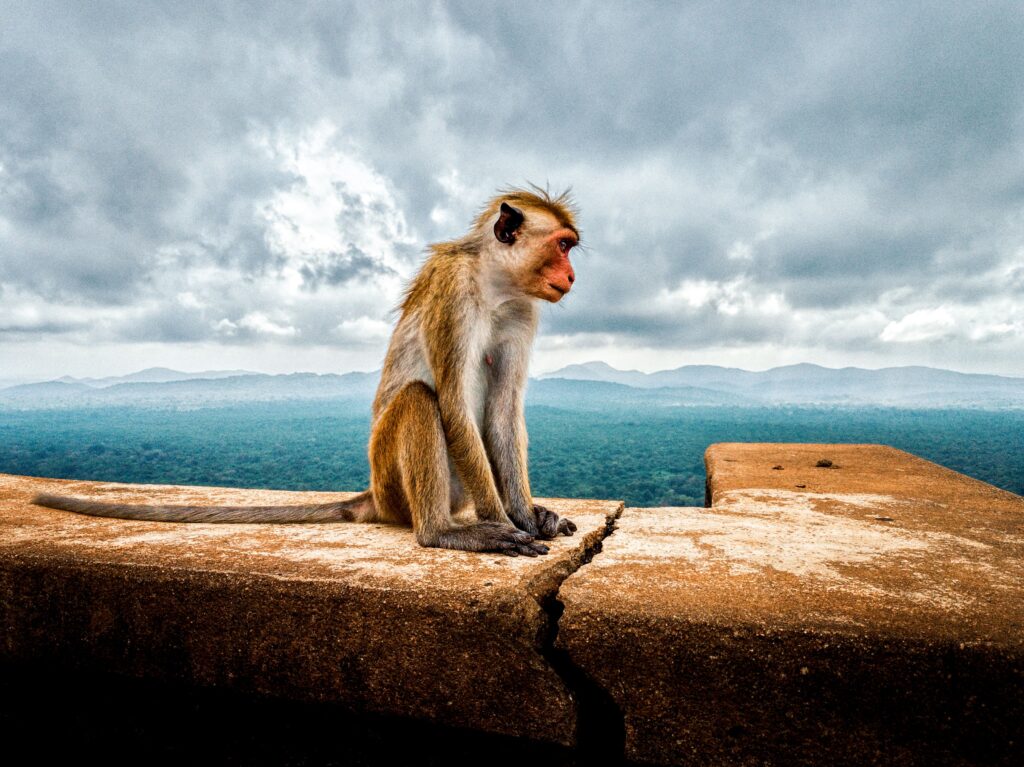 Sigiriya
