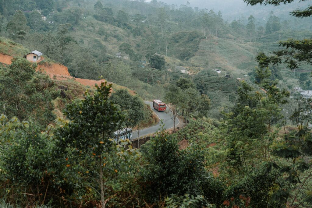 Hatton
