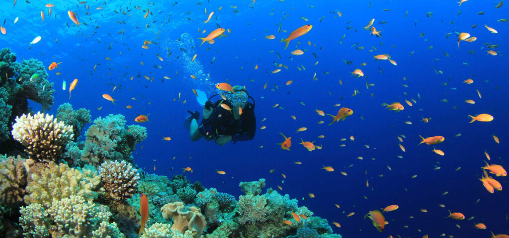 Mirissa