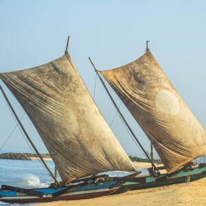 Sri Lanka Tour