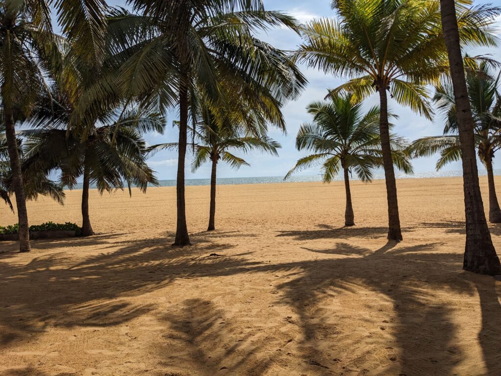 Sri Lanka Nature & Coast Tou