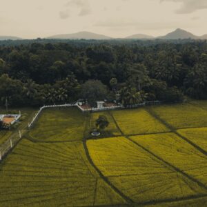 Sri Lanka Heritage Tour