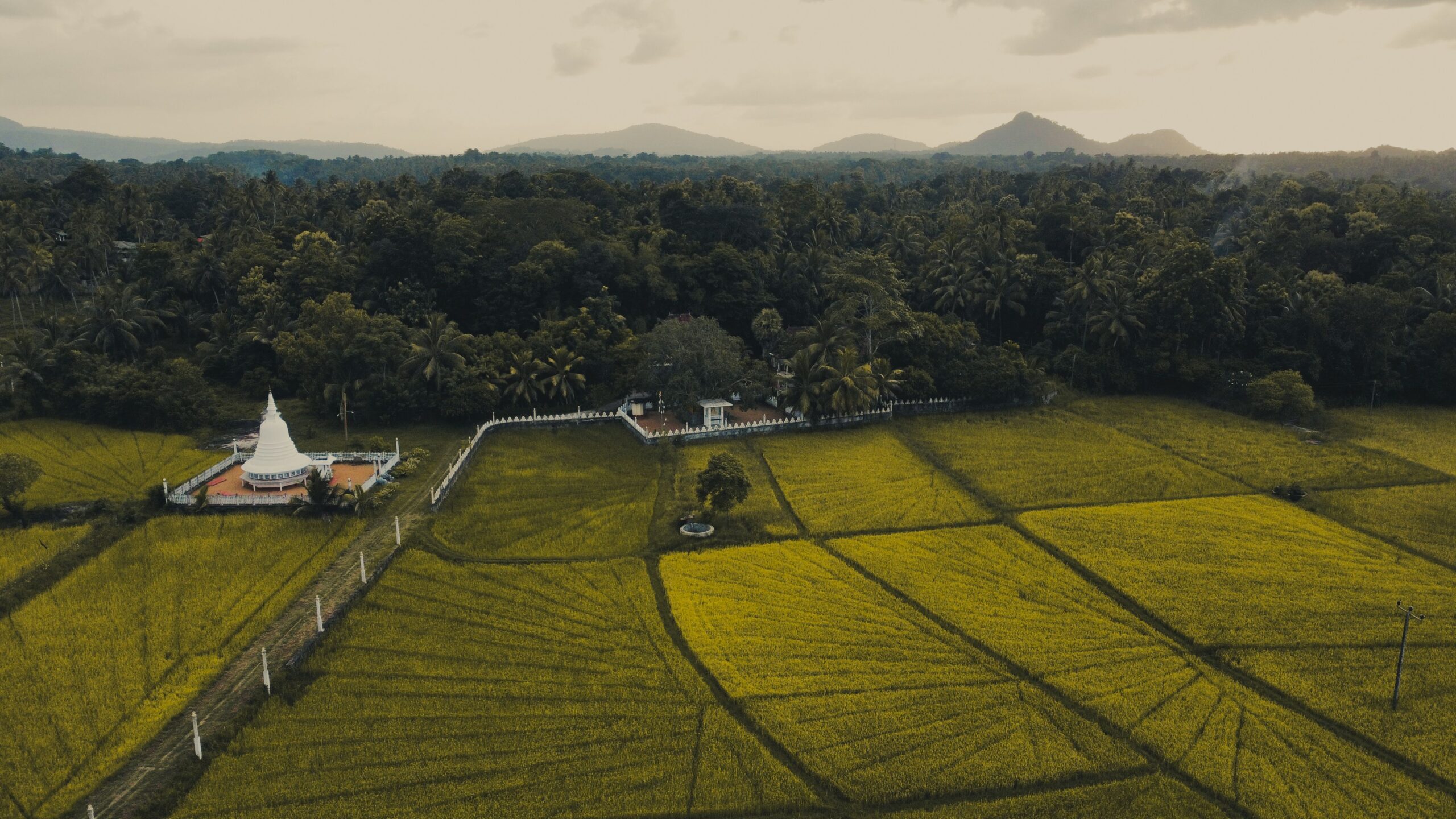 Sri Lanka Heritage Tour