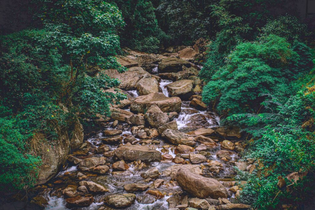Sri Lanka Nature & Coast Tou