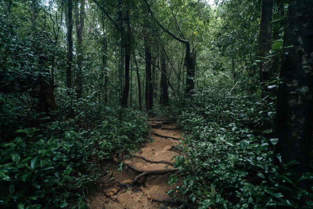 Sri Lanka Nature & Adventure Tour