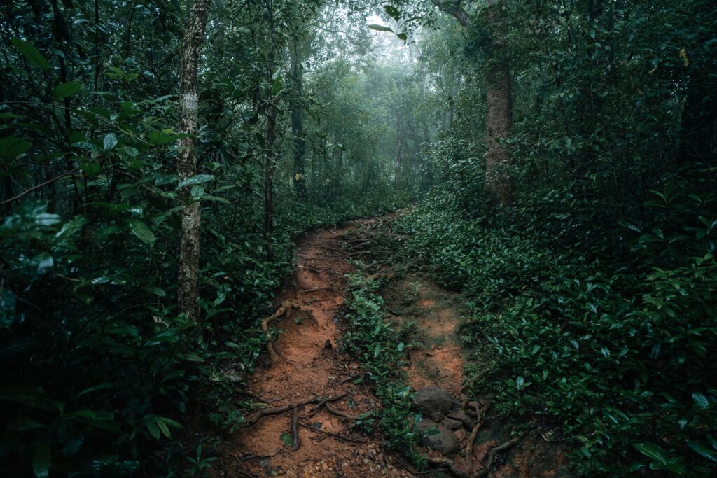 Sri Lanka Nature & Adventure Tour