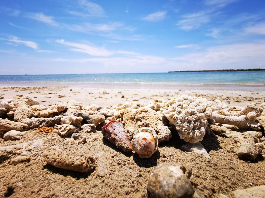 Sri Lanka East Coast Tour