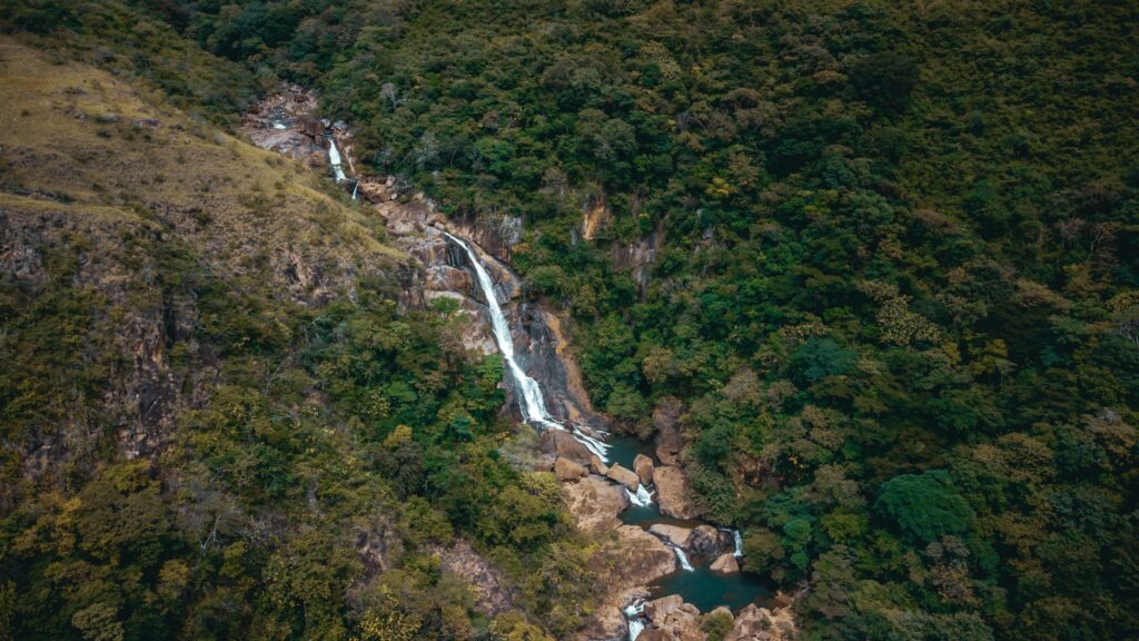 Sri Lanka Nature & Coast Tou